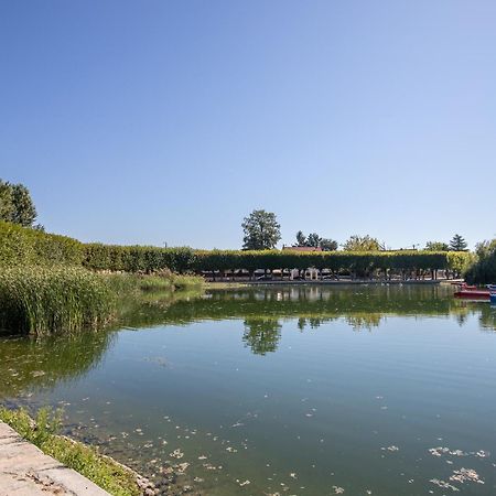 Appartement Cosy ,Wifi ,Gare "Le Refuge Du Lac" Vigneux-sur-Seine Exteriér fotografie