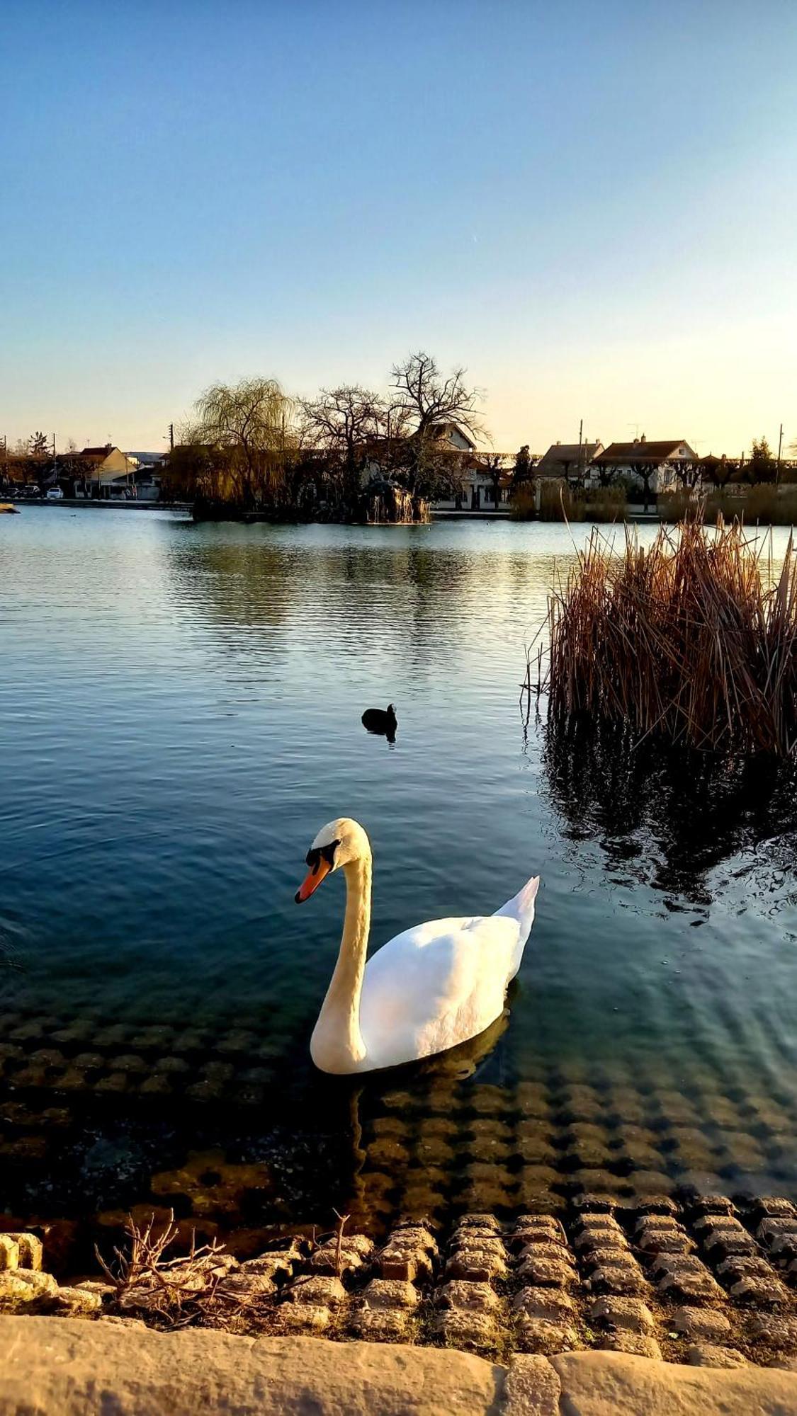 Appartement Cosy ,Wifi ,Gare "Le Refuge Du Lac" Vigneux-sur-Seine Exteriér fotografie